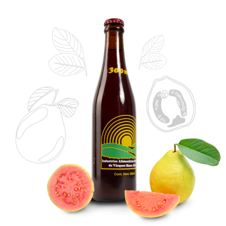 DEL VALLE JUGO VIDRIO 225 ML